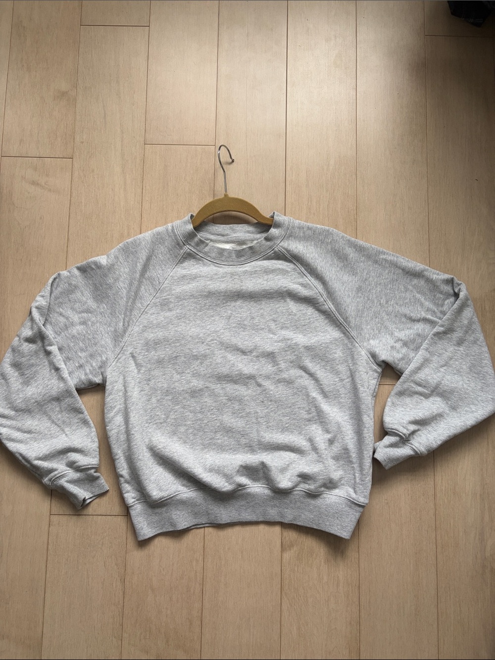 Aritzia Light Gray Crewneck Sweatshirt